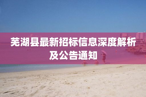蕪湖縣最新招標(biāo)信息深度解析及公告通知