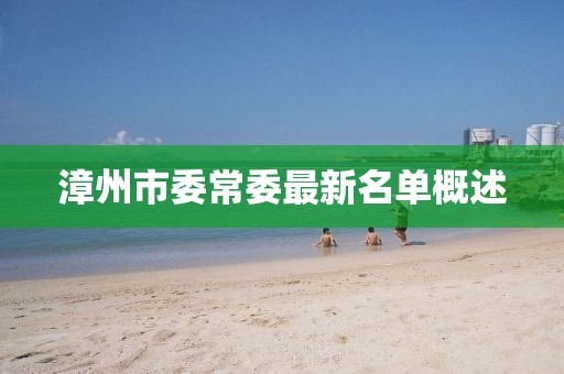 漳州市委常委最新名單概述