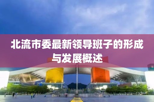 北流市委最新領導班子的形成與發(fā)展概述