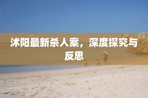 沭陽最新殺人案，深度探究與反思