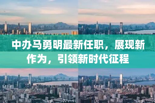 中辦馬勇明最新任職，展現(xiàn)新作為，引領(lǐng)新時代征程