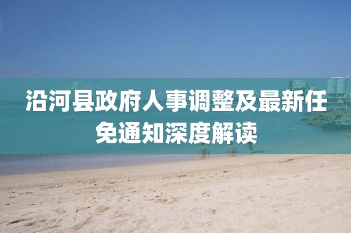 沿河縣政府人事調(diào)整及最新任免通知深度解讀