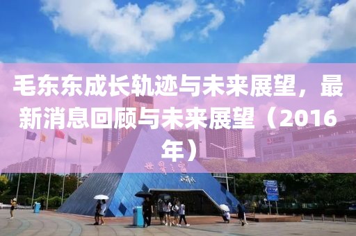 毛東東成長軌跡與未來展望，最新消息回顧與未來展望（2016年）