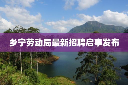 鄉(xiāng)寧勞動(dòng)局最新招聘啟事發(fā)布