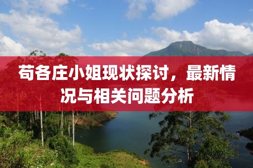 茍各莊小姐現(xiàn)狀探討，最新情況與相關(guān)問題分析
