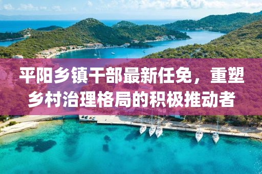 平陽鄉(xiāng)鎮(zhèn)干部最新任免，重塑鄉(xiāng)村治理格局的積極推動(dòng)者