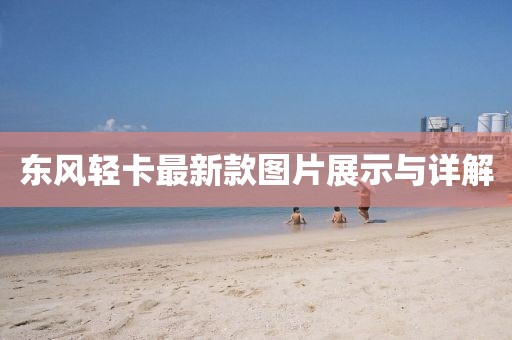 東風(fēng)輕卡最新款圖片展示與詳解