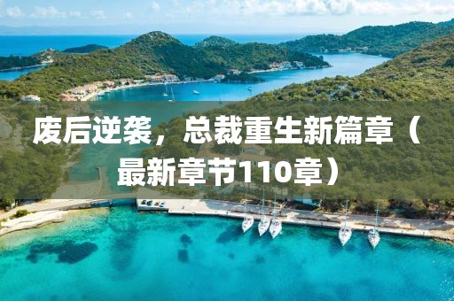 廢后逆襲，總裁重生新篇章（最新章節(jié)110章）