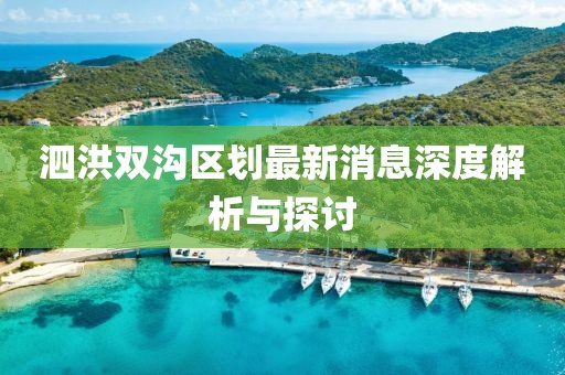 泗洪雙溝區(qū)劃最新消息深度解析與探討