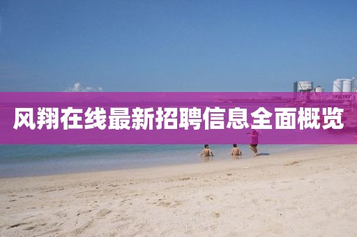 風(fēng)翔在線最新招聘信息全面概覽