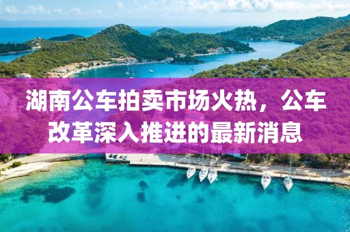 湖南公車拍賣市場火熱，公車改革深入推進的最新消息