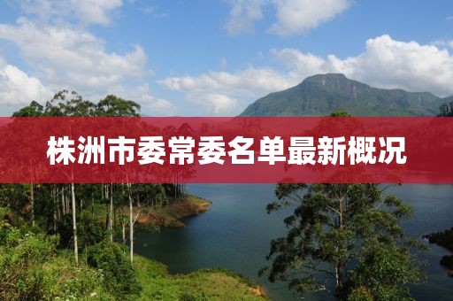 株洲市委常委名單最新概況
