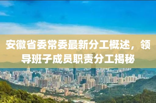 安徽省委常委最新分工概述，領(lǐng)導(dǎo)班子成員職責(zé)分工揭秘