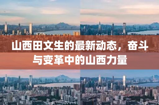 山西田文生的最新動(dòng)態(tài)，奮斗與變革中的山西力量