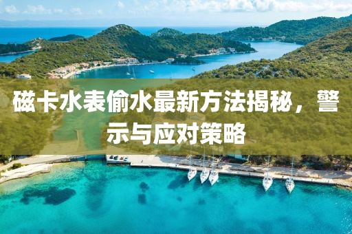 磁卡水表偷水最新方法揭秘，警示與應(yīng)對策略