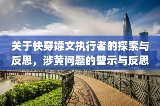 關(guān)于快穿嫖文執(zhí)行者的探索與反思，涉黃問題的警示與反思