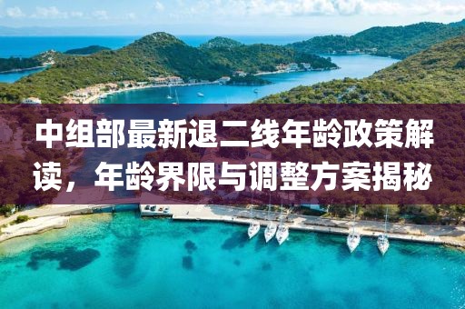 中組部最新退二線年齡政策解讀，年齡界限與調(diào)整方案揭秘
