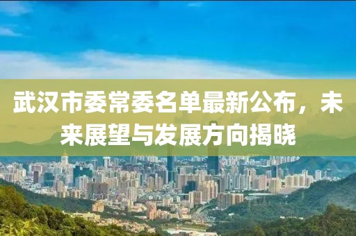 武漢市委常委名單最新公布，未來(lái)展望與發(fā)展方向揭曉