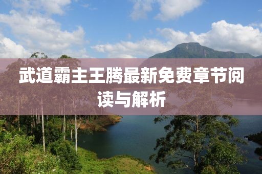 武道霸主王騰最新免費(fèi)章節(jié)閱讀與解析