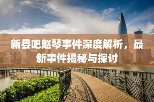 新縣吧趙琴事件深度解析，最新事件揭秘與探討