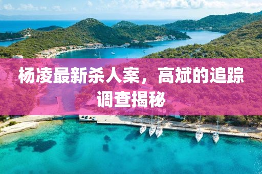 楊凌最新殺人案，高斌的追蹤調(diào)查揭秘