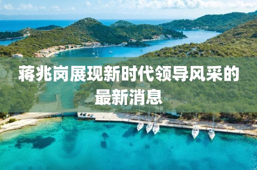 蔣兆崗展現(xiàn)新時(shí)代領(lǐng)導(dǎo)風(fēng)采的最新消息