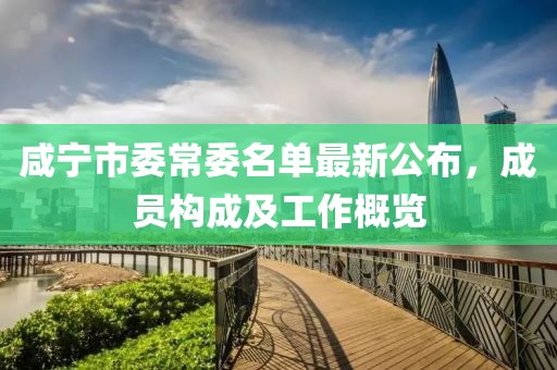 咸寧市委常委名單最新公布，成員構(gòu)成及工作概覽