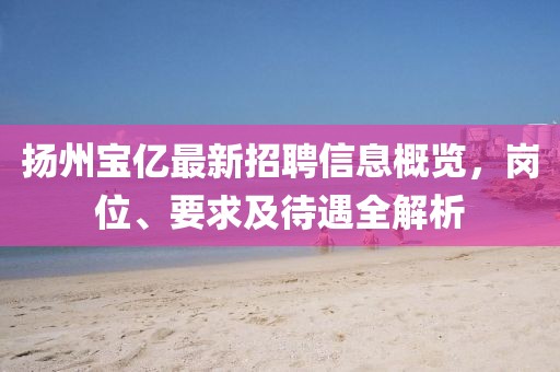 揚(yáng)州寶億最新招聘信息概覽，崗位、要求及待遇全解析