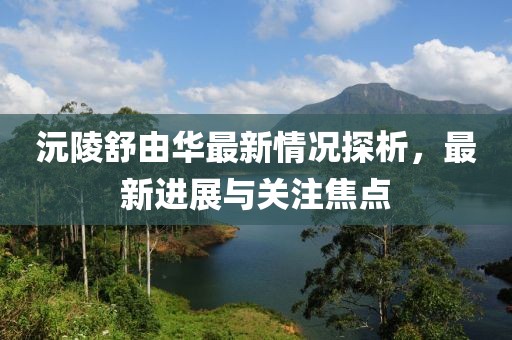 沅陵舒由華最新情況探析，最新進(jìn)展與關(guān)注焦點(diǎn)