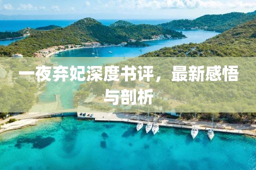 一夜棄妃深度書評(píng)，最新感悟與剖析