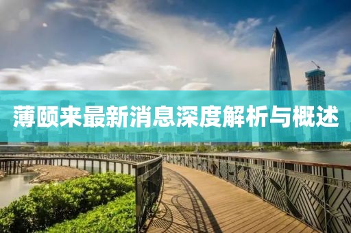 薄頤來最新消息深度解析與概述