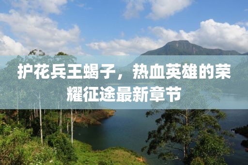 護(hù)花兵王蝎子，熱血英雄的榮耀征途最新章節(jié)