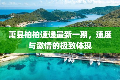 蕭縣拍拍速遞最新一期，速度與激情的極致體現(xiàn)
