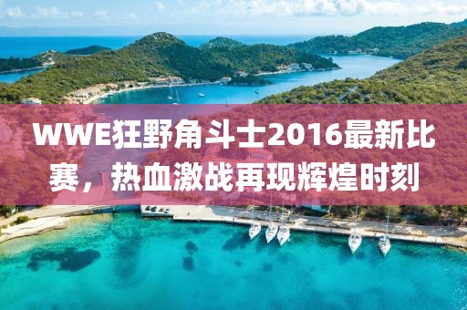 WWE狂野角斗士2016最新比賽，熱血激戰(zhàn)再現(xiàn)輝煌時刻