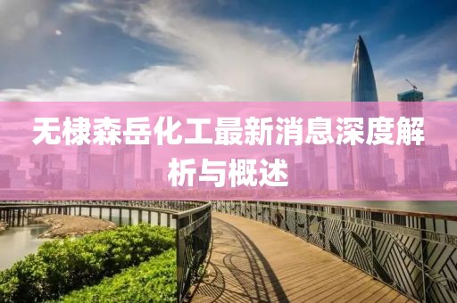 無棣森岳化工最新消息深度解析與概述