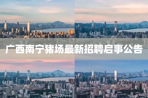 廣西南寧豬場(chǎng)最新招聘啟事公告