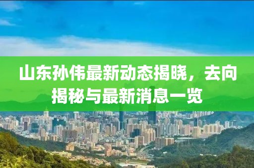山東孫偉最新動態(tài)揭曉，去向揭秘與最新消息一覽