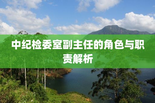中紀檢委室副主任的角色與職責解析