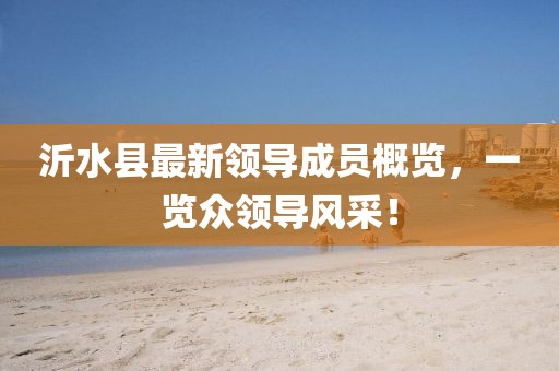 沂水縣最新領(lǐng)導(dǎo)成員概覽，一覽眾領(lǐng)導(dǎo)風(fēng)采！