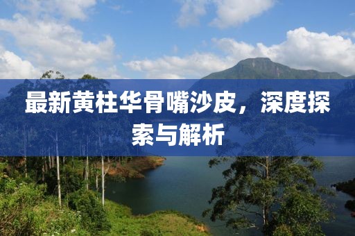 最新黃柱華骨嘴沙皮，深度探索與解析