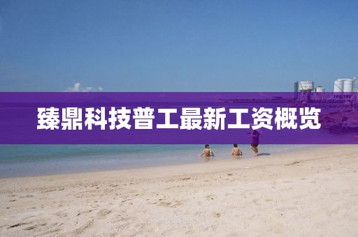 臻鼎科技普工最新工資概覽