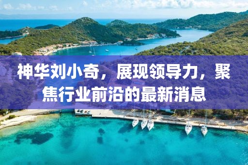 神華劉小奇，展現(xiàn)領(lǐng)導(dǎo)力，聚焦行業(yè)前沿的最新消息