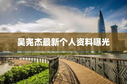 吳堯杰最新個人資料曝光
