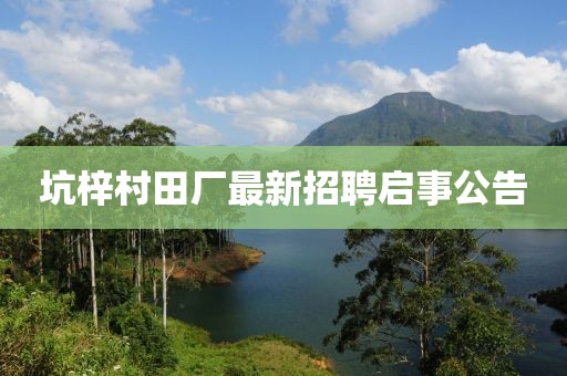 坑梓村田廠最新招聘啟事公告