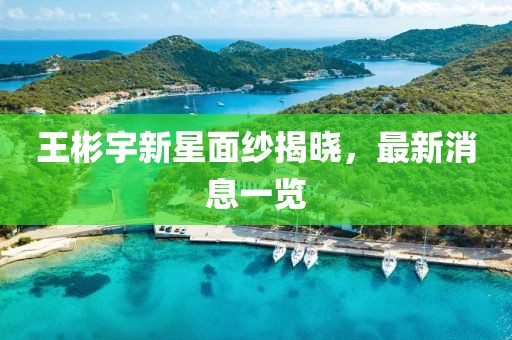王彬宇新星面紗揭曉，最新消息一覽
