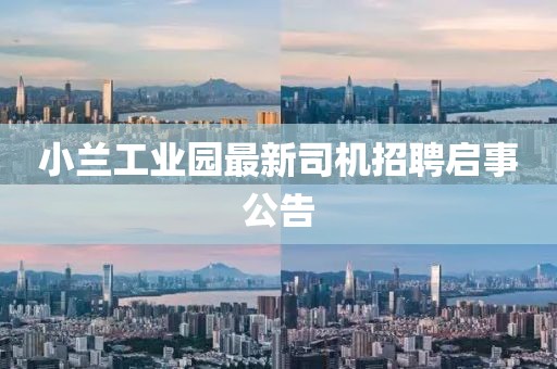 紅蟻白酒 第19頁