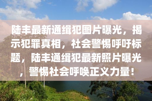 陸豐最新通緝犯圖片曝光，揭示犯罪真相，社會(huì)警惕呼吁標(biāo)題，陸豐通緝犯最新照片曝光，警惕社會(huì)呼喚正義力量！