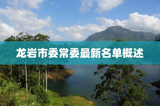 龍巖市委常委最新名單概述
