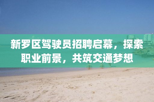 新羅區(qū)駕駛員招聘啟幕，探索職業(yè)前景，共筑交通夢想