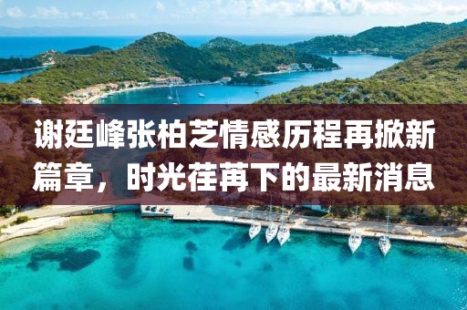 謝廷峰張柏芝情感歷程再掀新篇章，時(shí)光荏苒下的最新消息